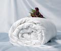 Одеяло шёлковое «Comfort Premium» 220х240, тёплое