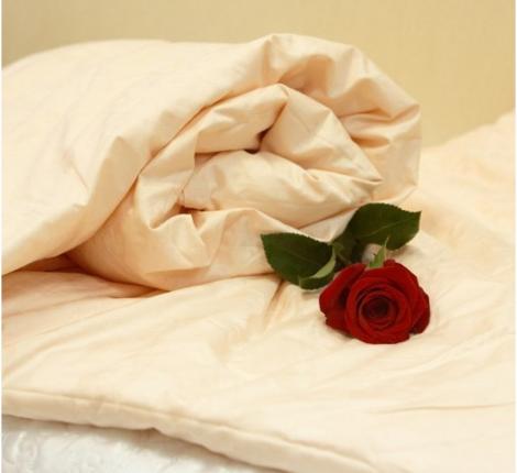 Одеяло шёлковое Elisabette Элит зимнее, 160x210 (персик)