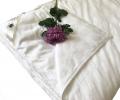 Одеяло шёлковое Elisabette Элит зимнее, 220x240 (белый)