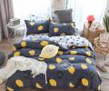 Постельное белье "Tango" Dream Fly DF05-83-70 Микросатин, Семейный