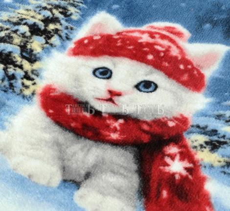 Плед "Absolute" XH PW 21 Велсофт, 150х200