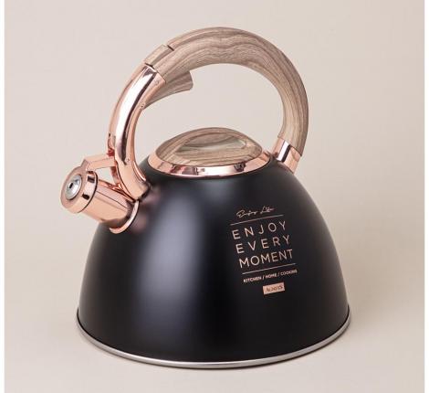 Чайник со свистком "ТЮДОР" 908-072, 3,0 л