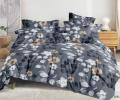Постельное бельё "Cleo" Art Color 20/168-AC Полисатин, 2 спальный