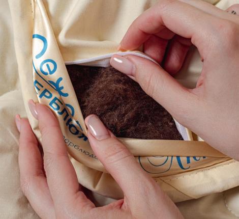 Одеяло зимнее ВЕРБЛЮЖКА Люкс, 200х220