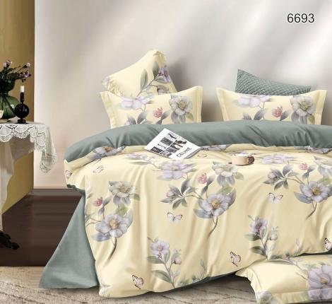 Постельное белье Valtery AP-170 Поплин, 2 спальный