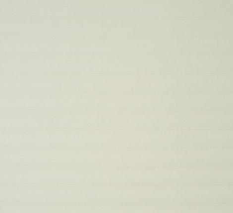 NST (шампань)  Наволочки страйп-сатин, 50x70-2 шт.