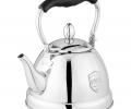 Чайник со свистком и складывающейся ручкой "ТЮДОР", 1,0 л (стальной)