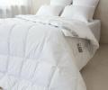 Одеяло пуховое "СЮИТА БЕЛАЯ", 140х205