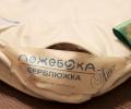 Одеяло всесезонное ВЕРБЛЮЖКА Люкс, 200х220