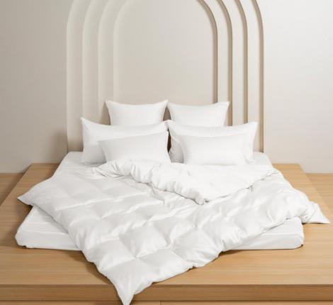 Постельное белье "ARCTIC WHITE BRILLIANT GRASS" 2818270 Тенсел, Семейный