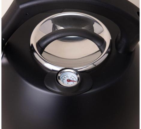 Чайник со свистком и встроенным термометром "ТЮДОР" 908-065, 2,8 л