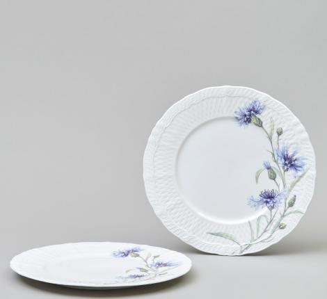 Набор закусочных тарелок 2 штуки "ВАСИЛЬКИ", диаметр 20,5 см
