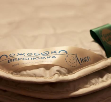 Одеяло всесезонное ВЕРБЛЮЖКА Люкс, 200х220