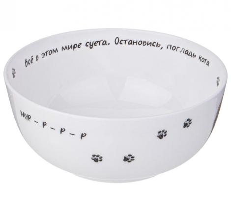 Салатник-тарелка суповая "БЕРИ КОТА" 15,5*6,5 СМ 750 МЛ, РАЗНОЦВЕТНЫЙ (КОР=36ШТ.)