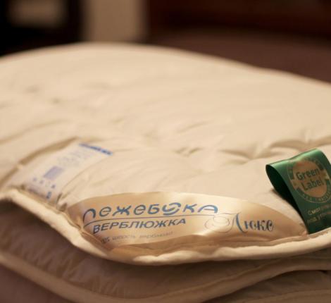 Одеяло тёплое ВЕРБЛЮЖКА Люкс, 172х205