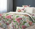Постельное белье Valtery AP-99 Поплин, 1,5 спальный