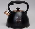 Чайник со свистком "ТЮДОР" 914-157, 3,0 л