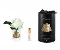 Бутон розы диффузор ROSE BUD green, прозрачная ваза, 1 спрей 5мл ВхШхД 13,5