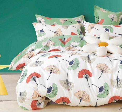 Постельное белье "АльВиТек" CA-6-079 Сатин, Евро