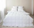 Одеяло пуховое "СЮИТА БЕЛАЯ", 172х205