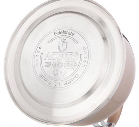 Чайник со свистком "ТЮДОР", 3,0 л (шампань)