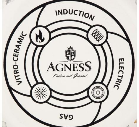 Чайник эмалированный "ЯБЛОНЕВЫЙ САД" 950-737, 2,2 л