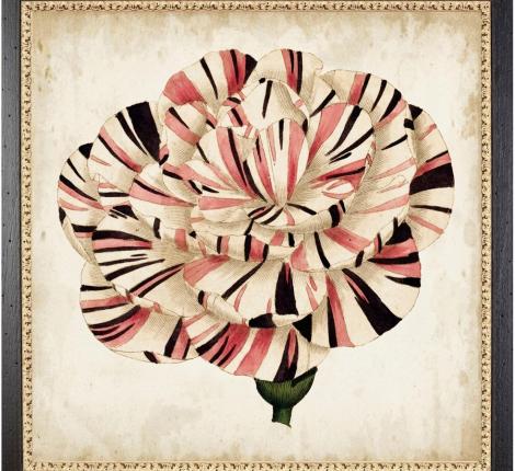 Постер "POP FLORAL" BL-1, 58х58