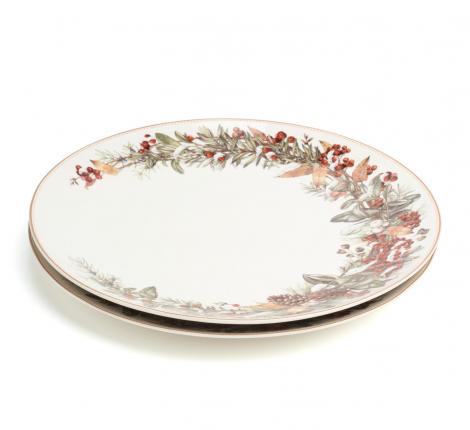 Набор обеденных тарелок 2 штуки "МОРОЗКО", диаметр 27 см