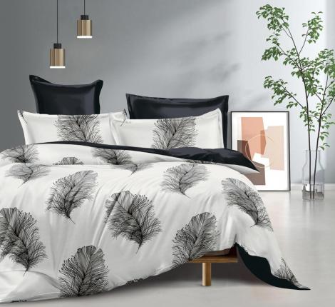 Постельное белье "Tango" Dream Fly DF03-535 Микросатин, Евро