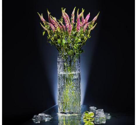 Ваза "GLASS NATURE" 698-125, 12*30 см