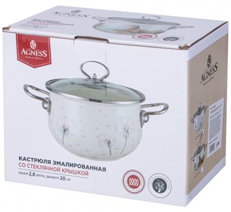 Кастрюля эмалированная со стеклянной крышкой "DANDELION", 2,8 л