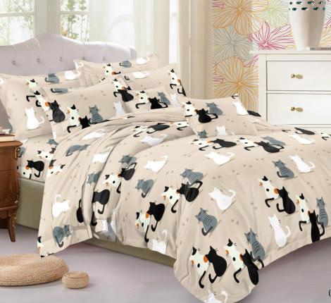 Постельное бельё "Cleo" Art Color 41/090-AC Полисатин, Семейный