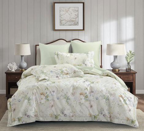 Постельное белье "Asabella" 2337-6 Сатин, Евро