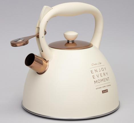 Чайник со свистком "ТЮДОР" 914-155, 3,0 л