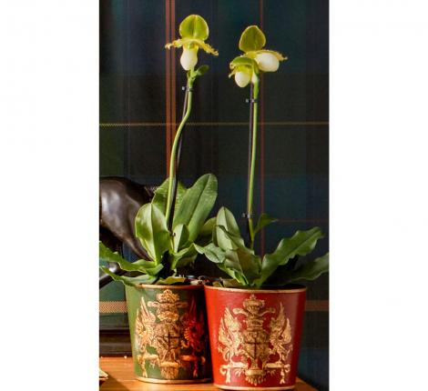 Кашпо "G&C" (красный) металл, 13х13х13 см