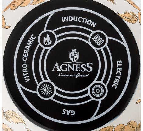 Кастрюля эмалированная "ВИНТАЖ. ПТИЧКА", 4,8 л