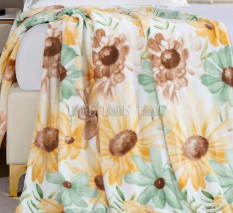 Плед "Absolute" XH PW 14 Велсофт, 150х200