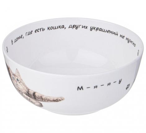 Салатник-тарелка суповая "БЕРИ КОТА" 15,5*6,5 СМ 750 МЛ, РАЗНОЦВЕТНЫЙ (КОР=36ШТ.)