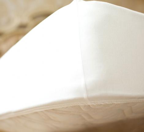 Простыня-чехол трикотажная "PALETTE GRASS" на резинке, 160х200х40