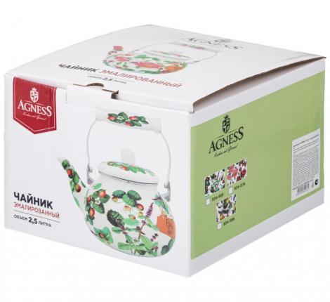 Чайник эмалированный "ШИПОВНИК", 2,5 л