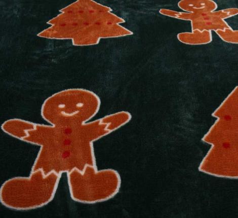 Плед "Sofi de Marko" Christmas Сake (зеленый) Велсофт, 150х200