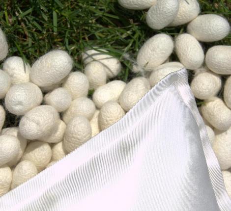 Наволочка шёлковая "Silkow Venezia" SKV-S29, 50х80 (плотность 29 момми)