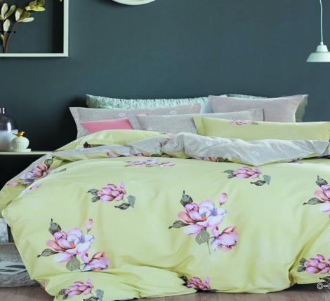 Постельное белье Valtery C-285 Сатин Евро