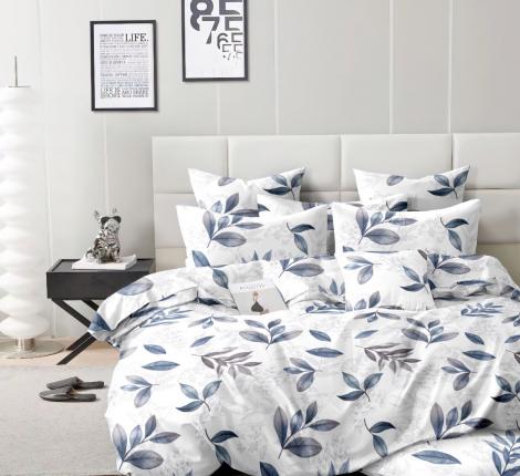 Постельное белье Valtery AP-165 Поплин, 2 спальный