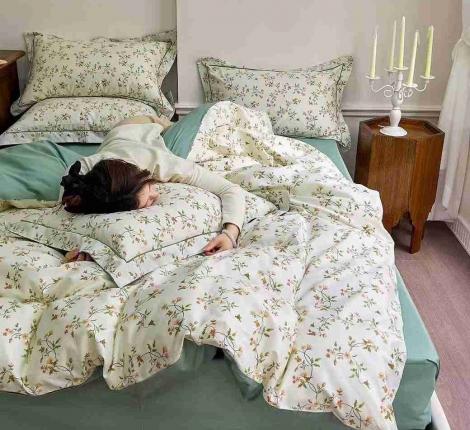 Постельное белье "АльВиТек" CA-6-730 Сатин, Евро