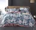 Постельное белье "Cleo" Pure Cotton 31/005-PCE Поплин, Евро