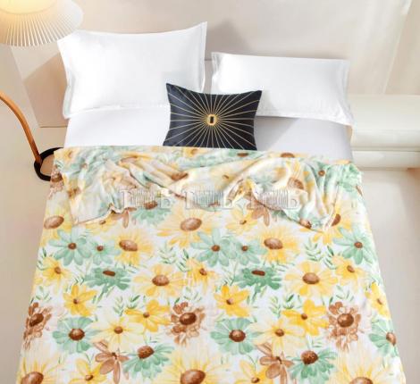 Плед "Absolute" XH PW 14 Велсофт, 150х200