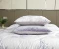 Постельное белье с одеялом "Kazanov.A." Акация (лаванда платина) Велюр/Egypt Cotton, Семейный