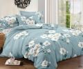 Постельное бельё "Cleo" Art Color 20/050-AC Полисатин, 2 спальный
