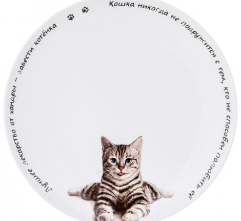 Тарелка закусочная "БЕРИ КОТА" 104-966-11, диаметр 20,5 см